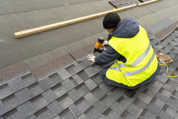 Best Roof Moss and Algae Removal  in Dunstan, ME